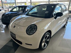 JAC E-S3 YTTERBY 100% electrico 320 KM autonomia 0KM 2025