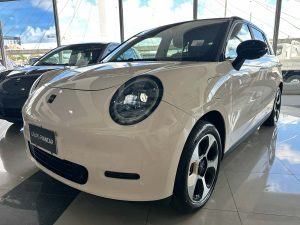 JAC E-S3 YTTERBY 100% electrico 320 KM autonomia 0KM 2025
