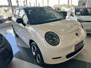 JAC E-S3 YTTERBY 100% electrico 320 KM autonomia 0KM 2025