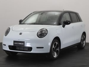 JAC E-S3 YTTERBY 100% ELÉCTRICO 320 KM AUTONOMÍA 0KM