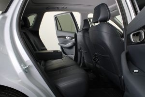 GEELY EX5 MAX EV 490 KM DE AUTONOMÍA ELÉCTRICA 0KM
