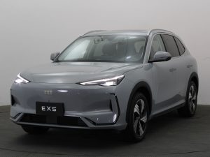 GEELY EX5 MAX EV 490 KM DE AUTONOMÍA ELÉCTRICA 0KM