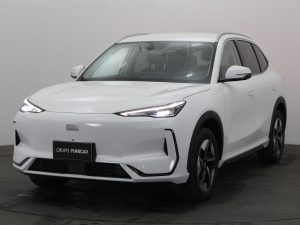GEELY EX5 PRO EV 495 KM DE AUTONOMÍA ELÉCTRICA 0KM