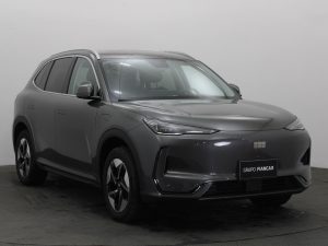 GEELY EX5 PRO EV 495 KM DE AUTONOMÍA ELÉCTRICA 0KM