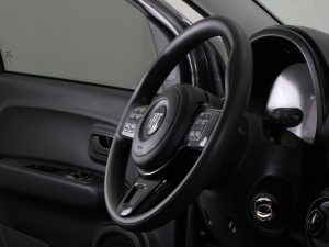 FIAT MOBI TREKKING 1.0 MT 2024