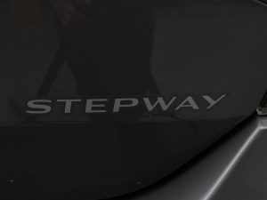 RENAULT STEPWAY ZEN 1.6 MT 2023