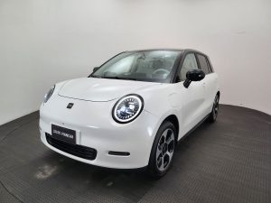 JAC E-S3 Ytterby European Edición Limitada 0Km