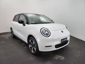 JAC E-S3 Ytterby European Edición Limitada 0Km