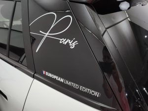 JAC E-S3 Ytterby European Edición Limitada 0Km