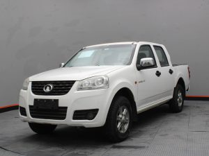 GWM WINGLE 5 2018
