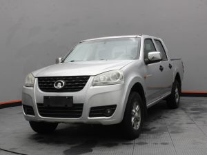 GWM WINGLE 5 2019