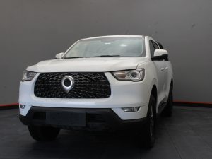 GWM POER NAFTA 2023