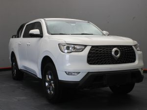 GWM POER NAFTA 2023