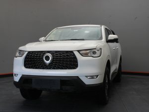 GWM POER NAFTA 2023