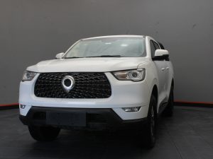 GWM POER NAFTA 2023