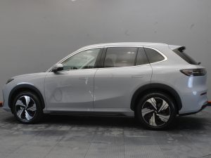 GEELY EX5 MAX 0 ELECTRICA