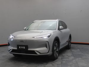 GEELY EX5 MAX 0 ELECTRICA