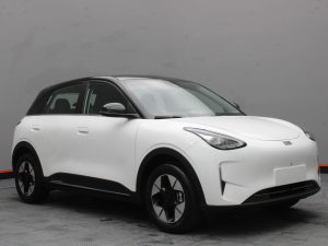 GEELY EX2 MAX