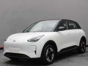 GEELY EX2 MAX