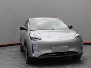 GEELY EX2 PRO
