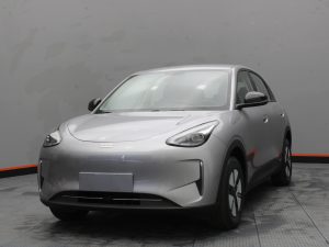 GEELY EX2 PRO