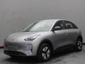 GEELY EX2 PRO