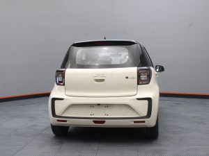 Jac E-s1 100% Eléctrico Cargador Inclu. 2026 0km