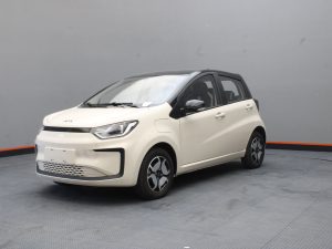 Jac E-s1 100% Eléctrico Cargador Inclu. 2026 0km