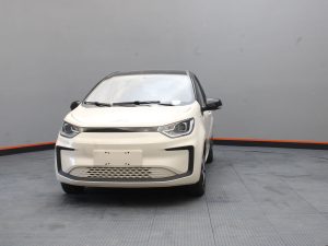 Jac E-s1 100% Eléctrico Cargador Inclu. 2026 0km