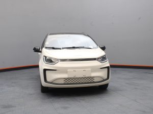 Jac E-s1 100% Eléctrico Cargador Inclu. 2026 0km