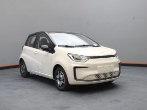 Jac E-s1 100% Eléctrico Cargador Inclu. 2026 0km
