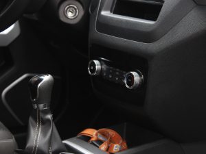 JAC S2 2020