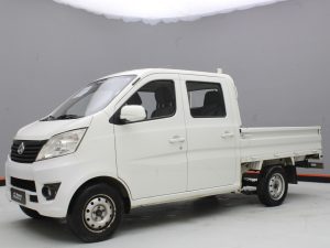 CHANGAN STAR 2022