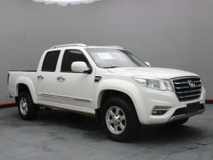 GWM WINGLE 6 2019