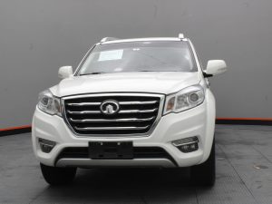 GWM WINGLE 6 2019