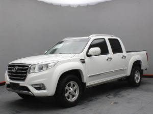GWM WINGLE 6 2019