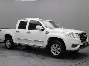 GWM WINGLE 6 2019
