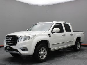 GWM WINGLE 6 2019