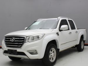GWM WINGLE 6 2019