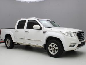 GWM WINGLE 6 2019