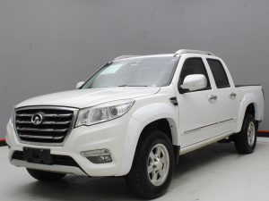 GWM WINGLE 6 2019