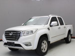 GWM WINGLE 6 2019