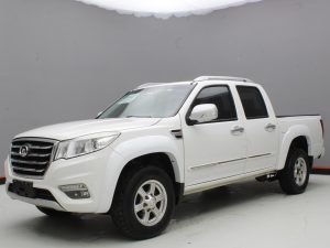 GWM WINGLE 6 2019