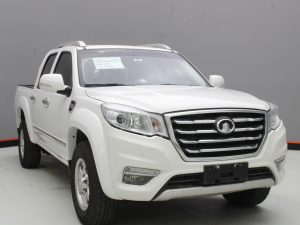 GWM WINGLE 6 2019