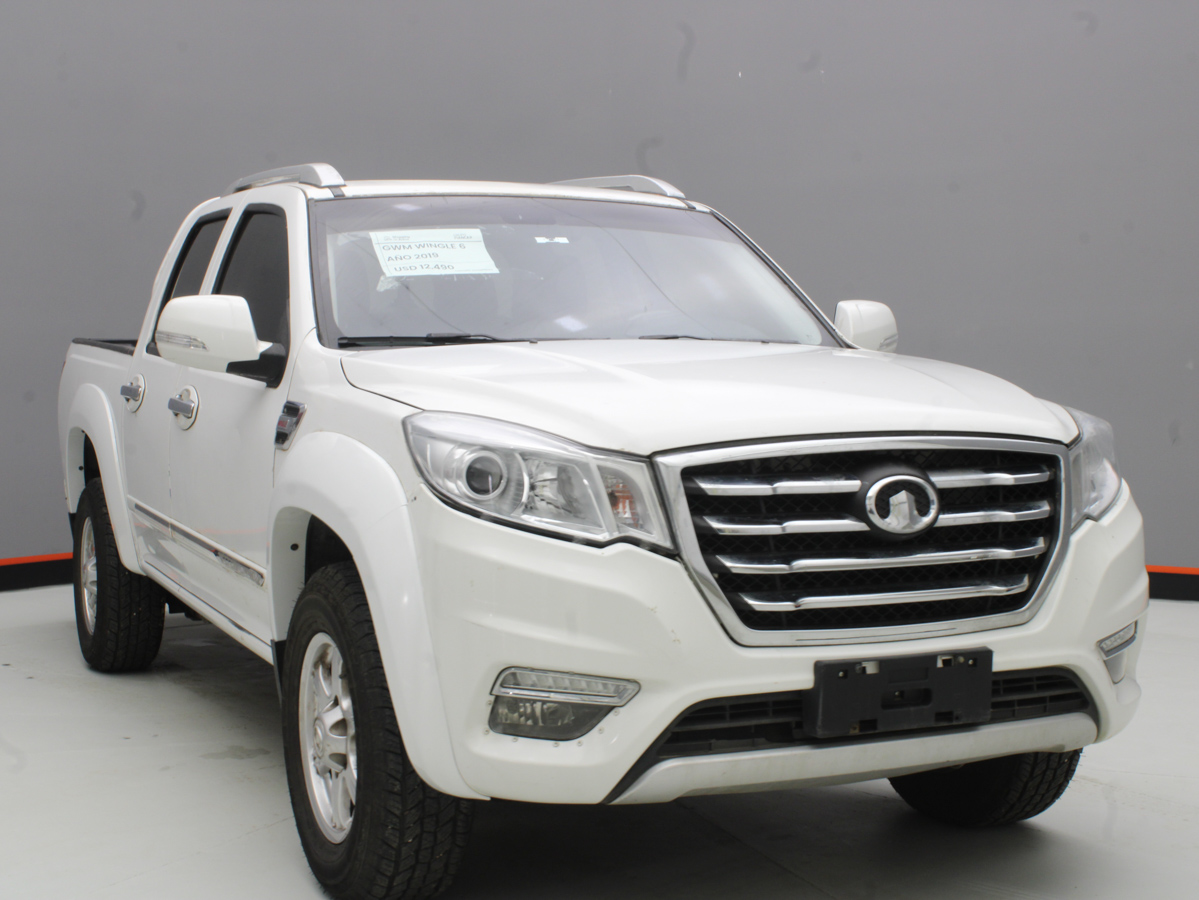 GWM WINGLE 6 2019