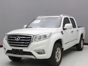 GWM WINGLE 6 2019