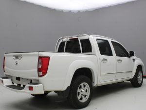 GWM WINGLE 6 2019