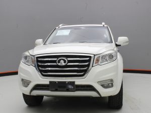 GWM WINGLE 6 2019