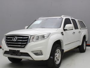 GWM WINGLE 6 2019
