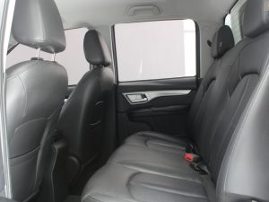 GWM WINGLE 6 2019